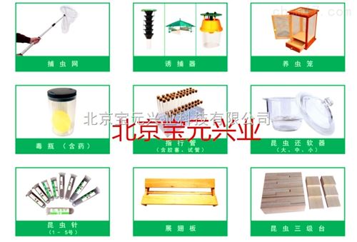 昆虫标本采集工具