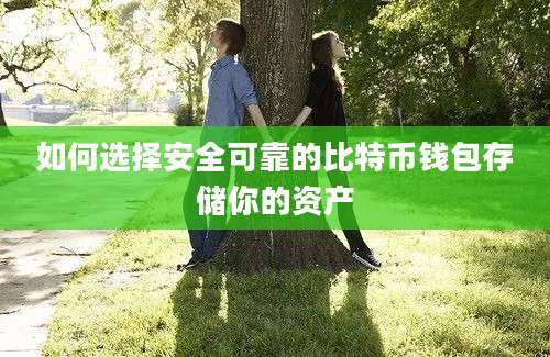 如何选择安全可靠的比特币钱包存储你的资产