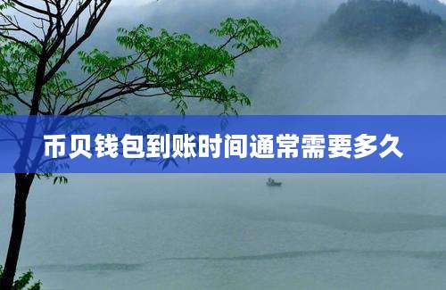 币贝钱包到账时间通常需要多久