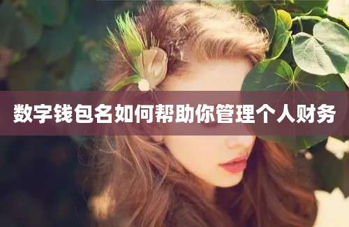 数字钱包名如何帮助你管理个人财务