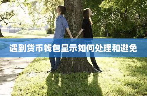 遇到货币钱包显示如何处理和避免
