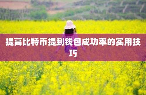 提高比特币提到钱包成功率的实用技巧