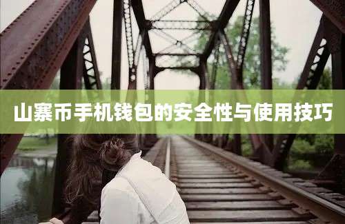 山寨币手机钱包的安全性与使用技巧