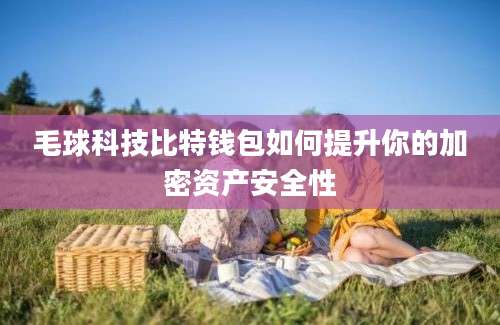 毛球科技比特钱包如何提升你的加密资产安全性