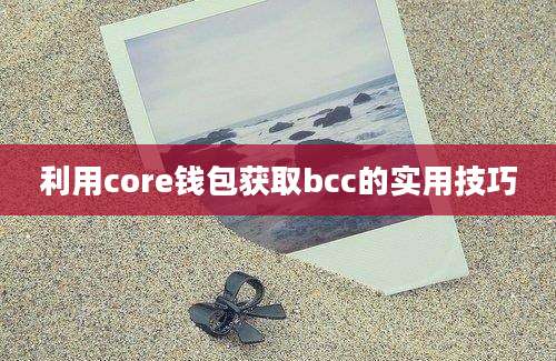 利用core钱包获取bcc的实用技巧