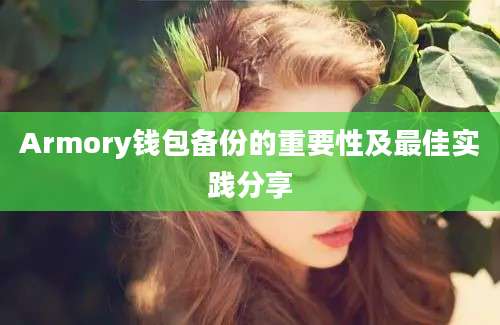 Armory钱包备份的重要性及最佳实践分享