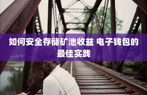 如何安全存储矿池收益 电子钱包的最佳实践