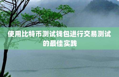 使用比特币测试钱包进行交易测试的最佳实践