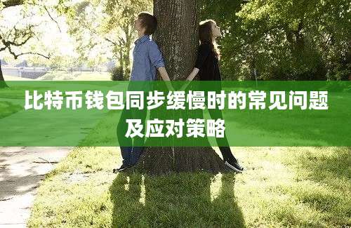 比特币钱包同步缓慢时的常见问题及应对策略