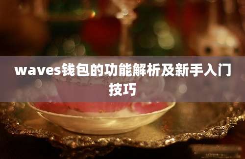 waves钱包的功能解析及新手入门技巧