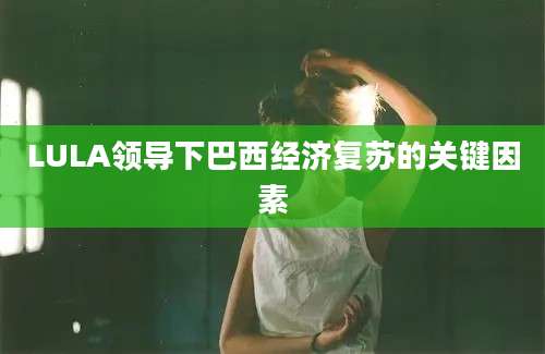LULA领导下巴西经济复苏的关键因素