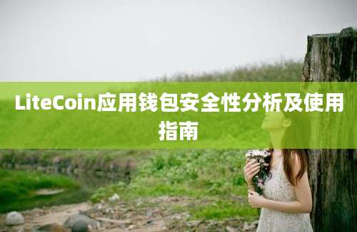 LiteCoin应用钱包安全性分析及使用指南