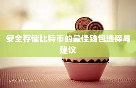 安全存储比特币的最佳钱包选择与建议
