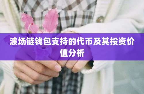 波场链钱包支持的代币及其投资价值分析