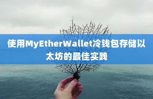 使用MyEtherWallet冷钱包存储以太坊的最佳实践