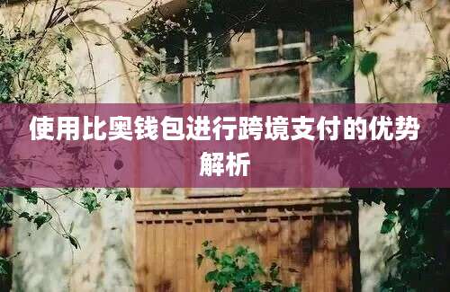 使用比奥钱包进行跨境支付的优势解析