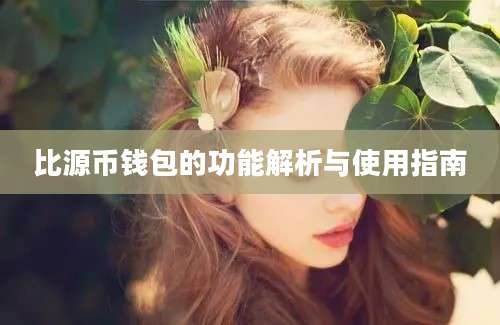 比源币钱包的功能解析与使用指南