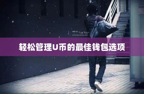 轻松管理U币的最佳钱包选项