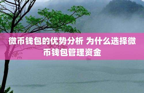 微币钱包的优势分析 为什么选择微币钱包管理资金