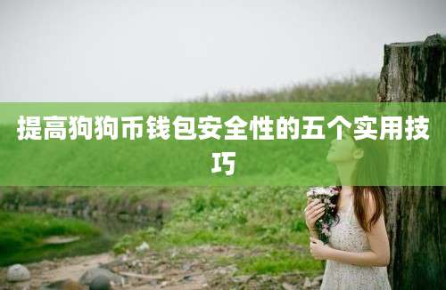 提高狗狗币钱包安全性的五个实用技巧