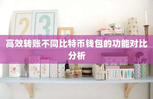 高效转账不同比特币钱包的功能对比分析