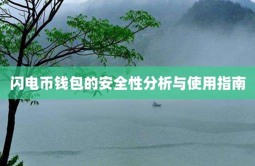 闪电币钱包的安全性分析与使用指南