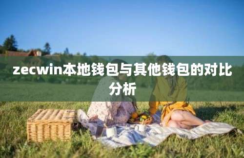 zecwin本地钱包与其他钱包的对比分析