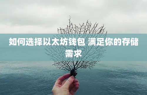 如何选择以太坊钱包 满足你的存储需求