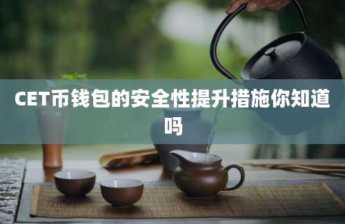 CET币钱包的安全性提升措施你知道吗