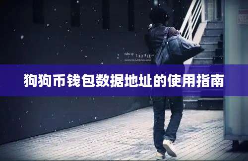 狗狗币钱包数据地址的使用指南