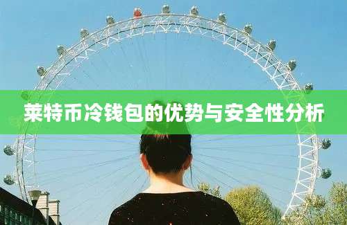 莱特币冷钱包的优势与安全性分析