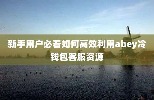 新手用户必看如何高效利用abey冷钱包客服资源