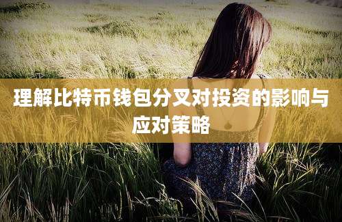 理解比特币钱包分叉对投资的影响与应对策略