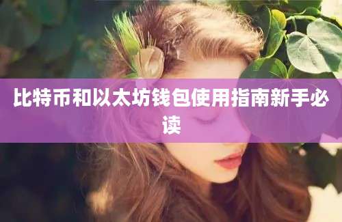 比特币和以太坊钱包使用指南新手必读