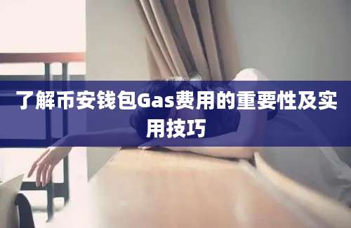 了解币安钱包Gas费用的重要性及实用技巧