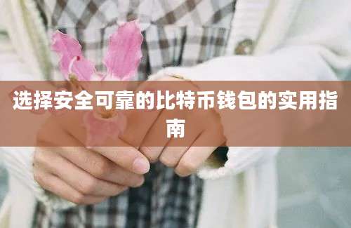 选择安全可靠的比特币钱包的实用指南