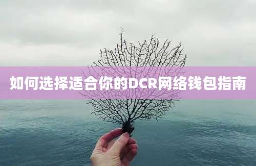 如何选择适合你的DCR网络钱包指南