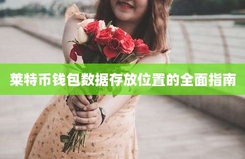 莱特币钱包数据存放位置的全面指南