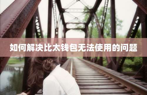如何解决比太钱包无法使用的问题