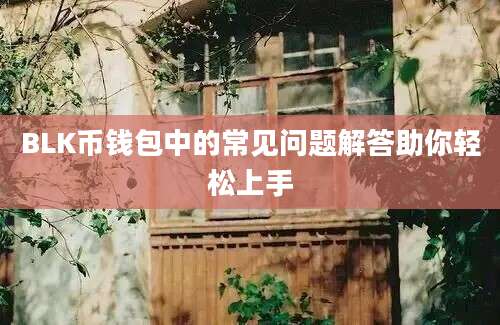 BLK币钱包中的常见问题解答助你轻松上手
