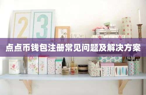 点点币钱包注册常见问题及解决方案