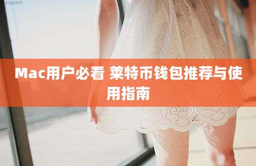 Mac用户必看 莱特币钱包推荐与使用指南