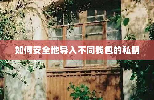 如何安全地导入不同钱包的私钥