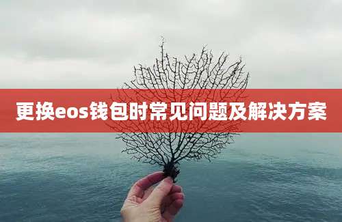更换eos钱包时常见问题及解决方案