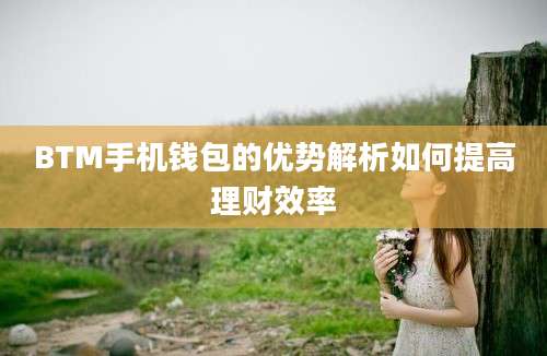 BTM手机钱包的优势解析如何提高理财效率