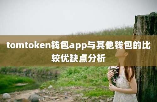 tomtoken钱包app与其他钱包的比较优缺点分析