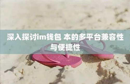 深入探讨im钱包 本的多平台兼容性与便捷性