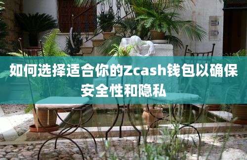 如何选择适合你的Zcash钱包以确保安全性和隐私
