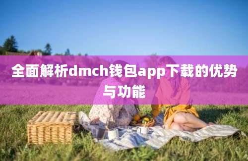 全面解析dmch钱包app下载的优势与功能